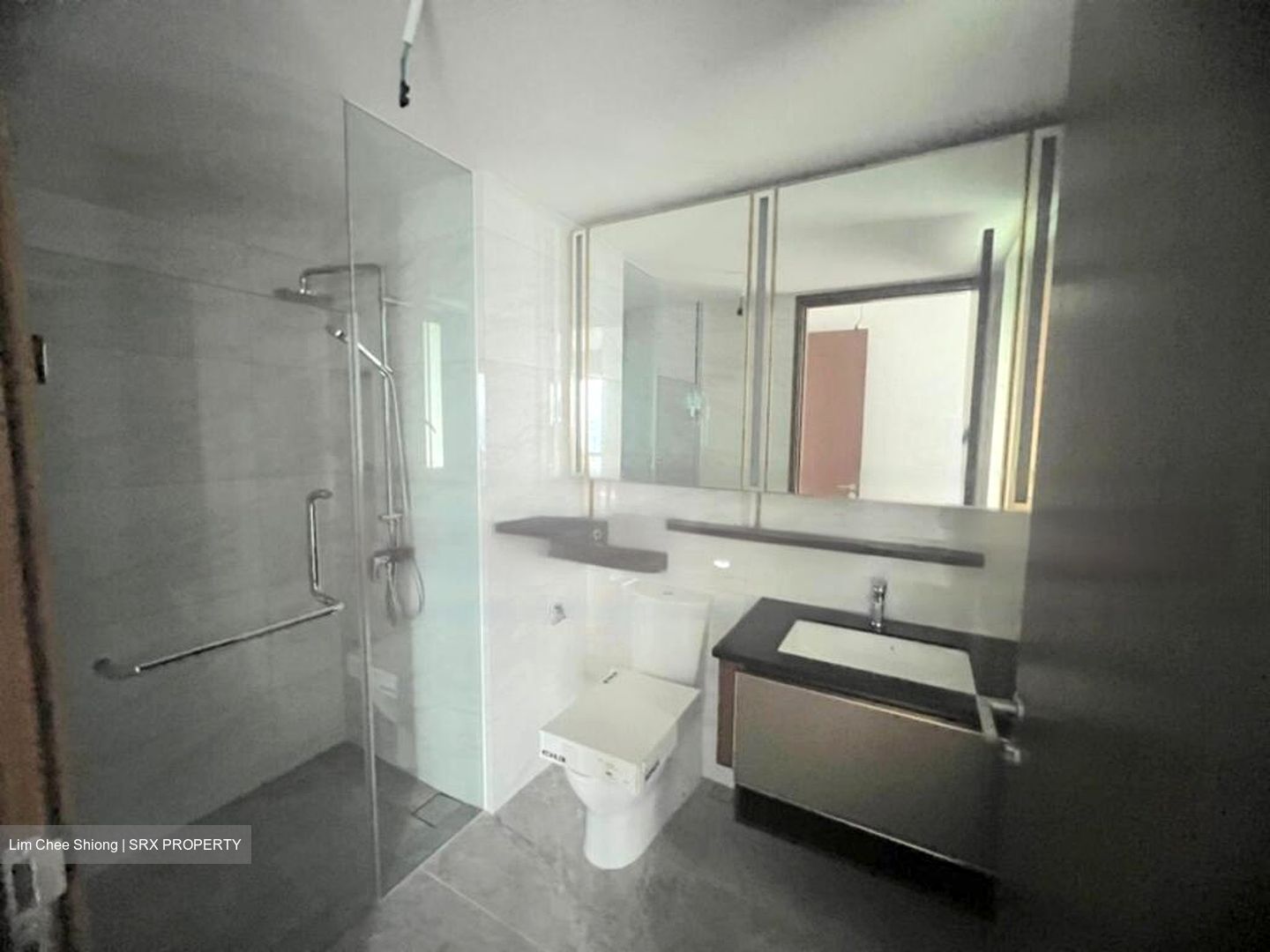Normanton Park (D5), Apartment #470433231
